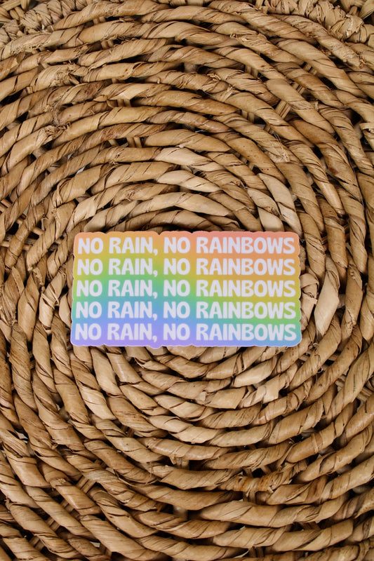 No Rain, No Rainbows Sticker DAISY NATIVES